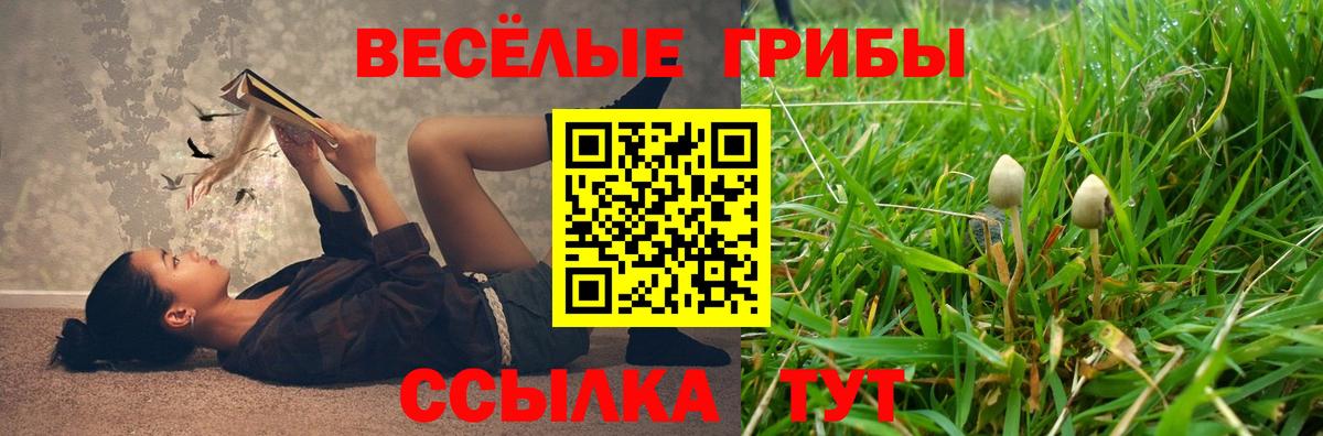 Псилоцибиновые грибы мицелий  Вход с VPN  Миасс 